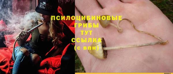прущая мука Лагань