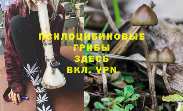 синтетический гашиш Кулебаки