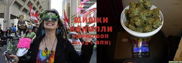 мдпв Кукмор